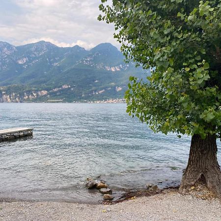 Al Cottage Oliveto Lario Exterior photo